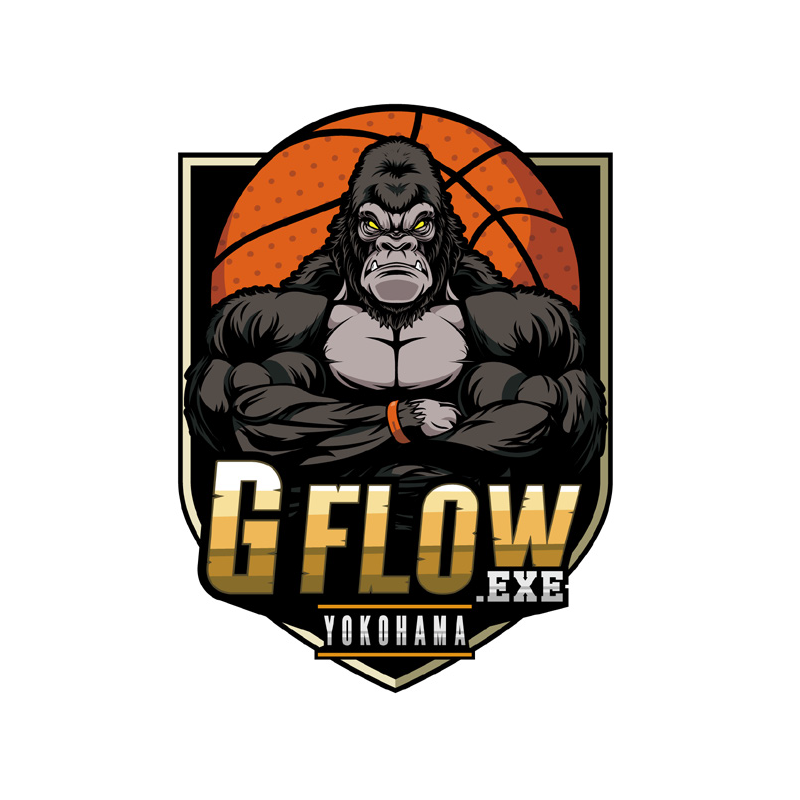 G FLOW.EXE