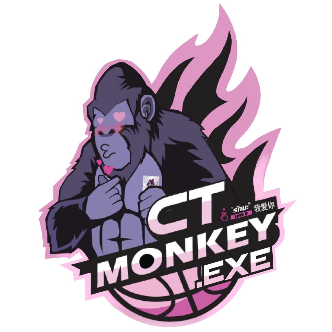CT MONKEY.EXE ロゴ