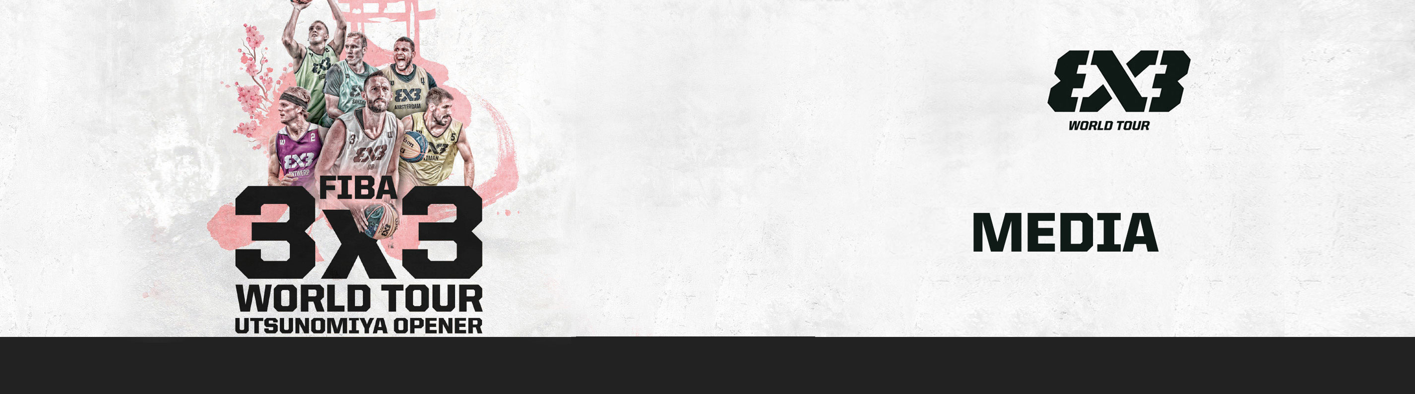 トップヴィジュアル